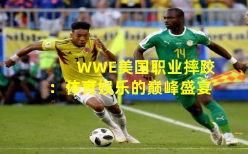 WWE美国职业摔跤：体育娱乐的巅峰盛宴