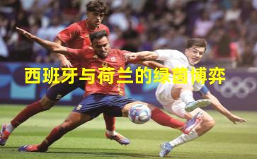 西班牙与荷兰的绿茵博弈