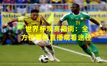 世界杯观赛指南：全方位解析直播观看途径