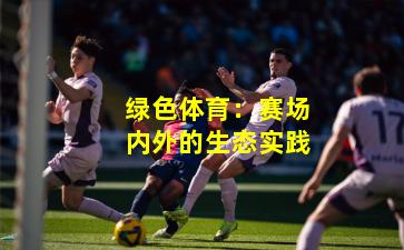 绿色体育：赛场内外的生态实践