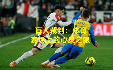 盲人裁判：体育赛场上的心灵之眼